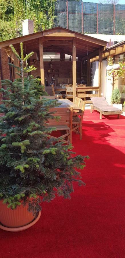 Casa Piri Hotel Анина Екстериор снимка